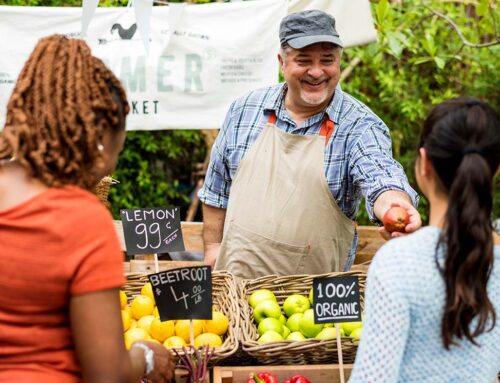 IRS Tax Suggestions for New Business Owners