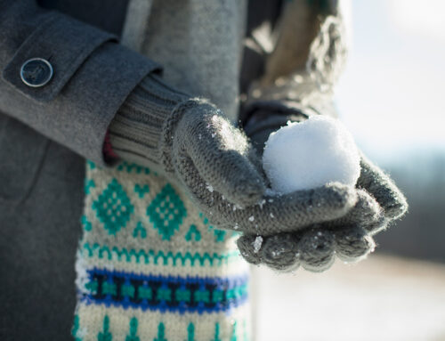 Preparing for a Wintery Market with A Helping Hand