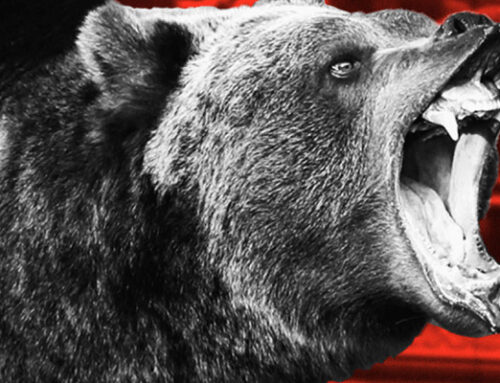 Five Lessons To Remember During Bear Markets