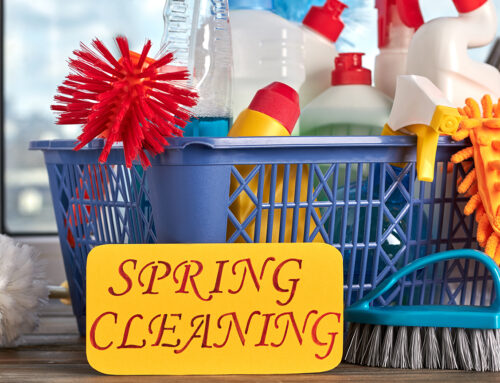 Your Spring Financial Refresh: A Seasonal Opportunity to Refocus and Reorganize